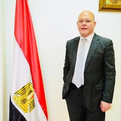 أ.د. حسان النعماني