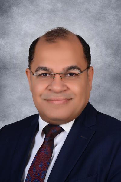 أ.د. محمود الأمير